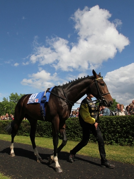 Bult VGH2011   093.jpg
